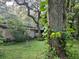 Spacious backyard with lush landscaping and mature trees at 15222 Lost Lake Ln, Lithia, FL 33547