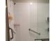 Walk-in shower with glass enclosure and grab bars at 14443 Touch Gold Ln, Sun City Center, FL 33573