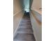 Carpeted staircase leading to the upper level at 14443 Touch Gold Ln, Sun City Center, FL 33573
