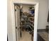 Large pantry with ample shelving for food storage at 14443 Touch Gold Ln, Sun City Center, FL 33573