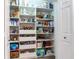 Well-organized pantry with ample shelving and drawers at 2501 N Dundee St, Tampa, FL 33629