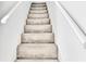 Carpeted staircase with simple white railings at 2511 Dolly Bay Dr # 301, Palm Harbor, FL 34684