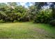 Open lawn area bordered by dense trees and lush vegetation at 3111 Arrowsmith Rd, Wimauma, FL 33598
