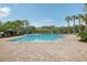 Community pool with lounge chairs and palm trees under a sunny sky at 30425 Pecan Valley Loop, Wesley Chapel, FL 33543