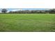 Large grassy field perfect for recreation at 30425 Pecan Valley Loop, Wesley Chapel, FL 33543