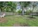 Large, fenced backyard with mature trees and ample space at 1611 Stevenson Dr, Clearwater, FL 33755