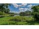 Scenic lake view with lush vegetation and a peaceful atmosphere at 20605 Preston Ln, Lutz, FL 33558