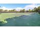Community tennis courts with seating and shaded areas at 5472 Summer Sunset Dr, Apollo Beach, FL 33572