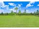 Spacious grassy backyard with a privacy fence and lush lawn at 5472 Summer Sunset Dr, Apollo Beach, FL 33572