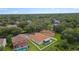 Aerial view of a house with a pool and backyard, in a neighborhood at 19148 Dove Creek Dr, Tampa, FL 33647