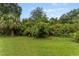 Lush backyard landscape with mature trees and shrubs at 19148 Dove Creek Dr, Tampa, FL 33647