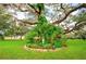 Lush landscaping with a beautiful garden at 37308 Beverly Ave, Zephyrhills, FL 33542