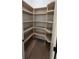 Spacious walk-in pantry with custom shelving, providing ample storage space at 320 W Park Ave, Tampa, FL 33602