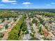 Bird's eye view of house, neighborhood, and lush greenery at 7127 Otter Creek Dr, New Port Richey, FL 34655