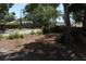 Backyard view with street at 1503 N Conrad Ave, Sarasota, FL 34237