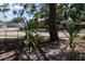 Backyard view with street at 1503 N Conrad Ave, Sarasota, FL 34237