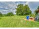Overgrown backyard with blue recycling bin and ladder at 10912 672 Hwy, Riverview, FL 33579