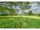 Overgrown vacant lot with trees and power lines at 10912 672 Hwy, Riverview, FL 33579