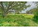 Vacant lot with mature trees and grassy area at 10912 672 Hwy, Riverview, FL 33579
