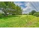 Overgrown vacant lot with fire hydrant and power lines at 10912 672 Hwy, Riverview, FL 33579