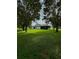 Well-maintained backyard with an expansive lawn, framed by mature trees, and an enclosed patio at 12384 Creek Edge Dr, Riverview, FL 33579