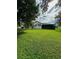 Expansive backyard featuring lush green grass and mature trees, providing privacy and shade at 12384 Creek Edge Dr, Riverview, FL 33579