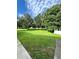 Lush green lawn with mature trees, offering a serene and spacious outdoor environment at 12384 Creek Edge Dr, Riverview, FL 33579