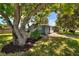 Charming home with mature landscaping and large trees at 3763 Dartmouth N Ave, St Petersburg, FL 33713