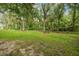 Spacious fenced backyard with lush green grass, mature trees, and serene surroundings at 6527 Stonington Dr, Tampa, FL 33647