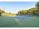 Outdoor tennis court with blue and green surface, surrounded by lush trees and equipped with lighting for evening games at 6527 Stonington Dr, Tampa, FL 33647