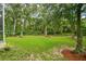 Spacious backyard with lush lawn, mature trees, and a black metal fence at 6527 Stonington Dr, Tampa, FL 33647