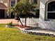 Well-maintained front yard with green grass, decorative rock, and palm trees enhancing the curb appeal at 13102 Prestwick Dr, Riverview, FL 33579