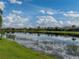 Scenic backyard with lake view and lush green lawn, perfect for relaxation and enjoying the natural surroundings at 5243 Esplanade Blvd, Bradenton, FL 34211