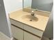 Bathroom vanity with beige countertop and a sink at 10425 La Mirage Ct # 202, Tampa, FL 33615