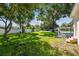 Large backyard with lush green grass and mature trees at 301 N Glen Ave, Tampa, FL 33609