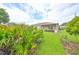 Spacious backyard with lush grass and tropical plants at 736 Mccallister Ave, Sun City Center, FL 33573
