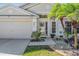 House exterior with palm trees and landscaping at 11314 Misty Isle Ln, Riverview, FL 33579