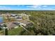 Aerial view of house with pool and backyard at 19859 Sambar Deer Loop, Lutz, FL 33559