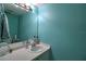 Bathroom with teal walls, a single sink vanity, and a large mirror at 8818 Bay Pointe Dr # 108, Tampa, FL 33615