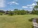 Expansive green space with mature trees at 4317 Honey Vista Cir, Tampa, FL 33624