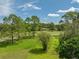 Scenic view of a lush green golf course at 4317 Honey Vista Cir, Tampa, FL 33624