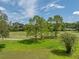 Beautiful view of a well-maintained golf course at 4317 Honey Vista Cir, Tampa, FL 33624