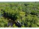 Aerial view showing home, lush trees, and a river at 4617 John Moore Rd, Brandon, FL 33511