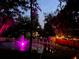 Night view of backyard with illuminated pond and lights at 4617 John Moore Rd, Brandon, FL 33511