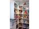 Well-organized pantry with ample shelving for storage at 5776 Newberry Pines Ave, Wesley Chapel, FL 33545