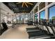 Modern fitness center with treadmills, weights and other equipment at 5776 Newberry Pines Ave, Wesley Chapel, FL 33545