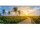 Scenic beach path at sunset leading to a lifeguard tower at 608 Armada S Rd, Venice, FL 34285