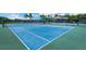 Two community tennis courts with green surrounding at 19336 Eagle Creek Ln, Tampa, FL 33647