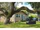 House with a large oak tree and a hanging swing seat at 1313 E New Orleans Ave, Tampa, FL 33603