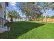 Expansive backyard with fresh green grass and stylish privacy fencing at 2206 N Boulevard, Tampa, FL 33602